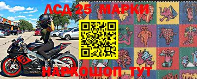СК Новозыбков